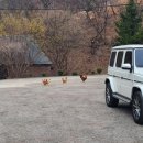 여주-1091 이미지