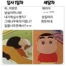쇼핑뱅 이미지