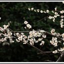 화신식물원 이미지