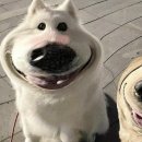 [호주 워홀 D+410~416] 브리즈번 건설잡, 롱 위캔드 끝, 다시 일상