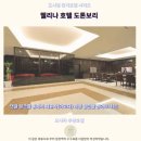 오사카 웰리나 호텔 도톤보리 후기 가성비 숙소 추천