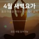 오늘의움직임요가스튜디오광교
