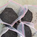 옥신농장 이미지