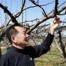 충서원예농협 하나로마트 이미지