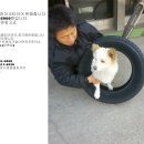타이어프로 양촌점 이미지