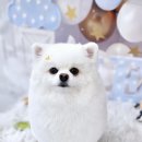 다래미용실 이미지