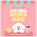 남양주 애견샵 | 남양주 치와와분양 후기｜유앤미펫에서 만난 작고 용감한 우리 아기