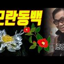 모란동백 ~ 조영남/나훈아 이미지