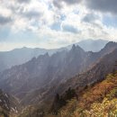 최고산면옥 - 273933 | 최고산면옥