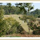 박동량 선생 묘 및 신도비 이미지