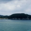 동강오리알 이미지
