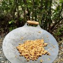 용바위민박 이미지