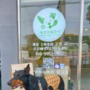 한라마테우리 이미지