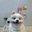 몽아뜨 이미지