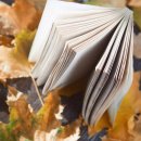 문학어린이집 이미지