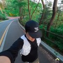 버티고개역(6) 화장실 | 작년이랑 확실히 달랐다, 남산 업힐 러닝으로 체감한 실력 변화