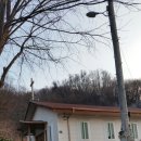 대하음향 Daum카페