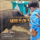 봉구의간식제주애월점 | 제주 새별프렌즈｜애월 동물원 먹이주기 체험 후기 두 돌 아기랑 가볼만한 곳