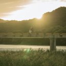 비로소 봄 이미지