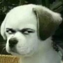 서울양남초등학교 이미지