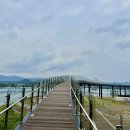 문화광장길 이미지