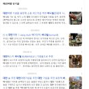 한도빌 | 대만 위스키?와인? 판매점 버니빌(Bunnyville) 후기