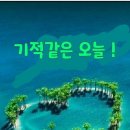 오늘의 행복 Daum카페