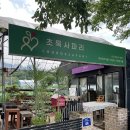 서우농장 | 안산의 아프리카 식물 선인장 천국 | 초록 사파리 팝업 방문 식물쇼핑 데이트