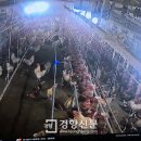 장주농장 이미지