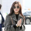 골드래쉬 이미지