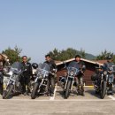 염포야영장 이미지