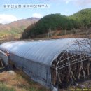 용두산농장 이미지