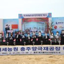 메가폴리스 이미지