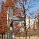 신대호수 팔각정 앞 이미지