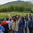 다도농장 이미지