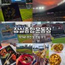 종합운동장 | [서울광역시/잠실동 여행지] 2025년 잠실종합운동장 후기 / 먹거리 추천 및 관람 후기