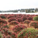 동백4로 이미지