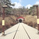 영신숲길2 | 문경 당일치기 봄꽃 여행코스 드라이브 봄 문경중앙시장 에서 영신숲 고모산성 까지