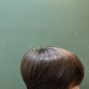 더민 이미지