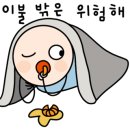 로얄팰리체 이미지