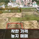 최인모공인중개사사무소 이미지