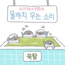 제인해일 이미지