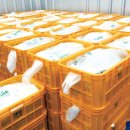 ㈜탑프레쉬 이미지