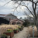 인디언키친 제주 애월 맛집 <b>인디언</b><b>키친</b> - 제주도여행에서 3번째 간 찐맛집