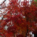 너른마당1 이미지