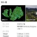 휘슬링디자인 이미지