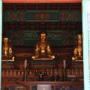 칠곡 송림사 석조아미타여래삼존좌상 이미지