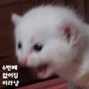 (주)아성다이소부천상동역점 | 2023년 3분기