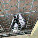 기훈목장 이미지