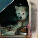 송추주유소 이미지